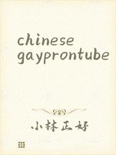 chinesegayprontube封面