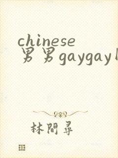 chinese男男gaygay网