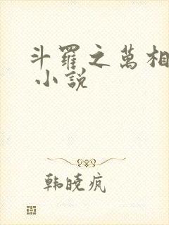 斗罗之万相斗罗 小说