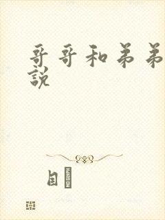 哥哥和弟弟h小说