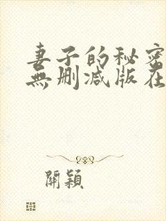 妻子的秘密日剧无删减版在线观看