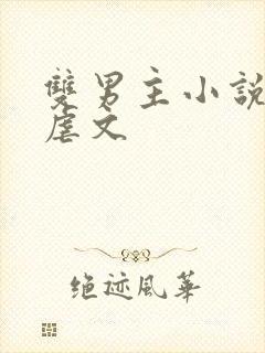 双男主小说推荐虐文
