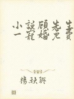 小说顾先生的第一宠婚免费