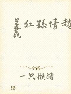 美红孙倩赵敏高义封面
