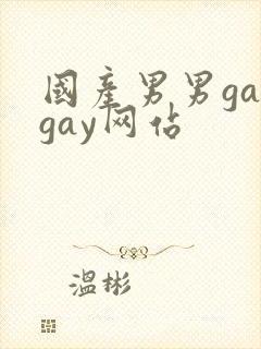 国产男男gaygay网站封面