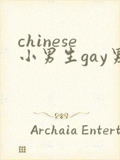 chinese小男生gay男男网站