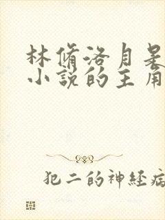 林修洛月是哪部小说的主角