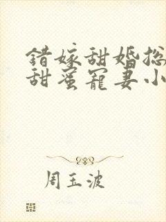 错嫁甜婚总裁的甜蜜宠妻小说