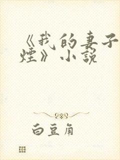 《我的妻子柳如烟》小说封面