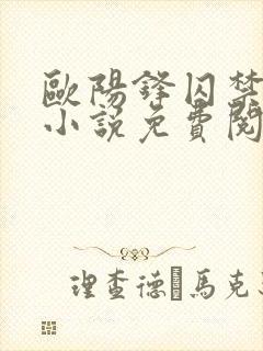 欧阳锋囚禁黄蓉小说免费阅读