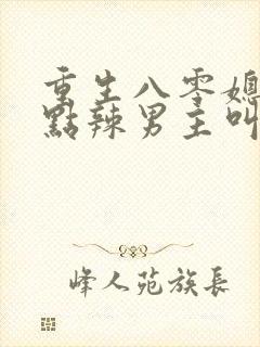 重生八零媳妇有点辣男主叫什么