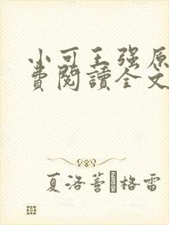 小可王强原文免费阅读全文