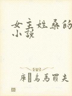 女主姓桑的现代小说封面