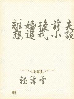 离婚后前夫总是想追我小说在线阅读