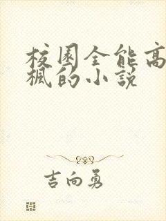 校园全能高手季枫的小说封面
