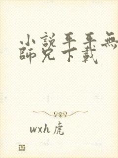 小说平平无奇大师兄下载