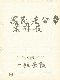 国民老公带回家 叶非夜