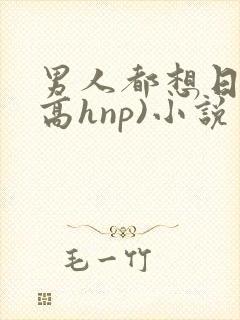 男人都想日她(高hnp)小说