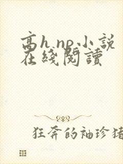 高h np小说在线阅读