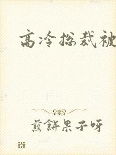 高冷总裁被调教封面