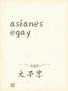 asianesegay封面
