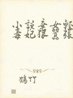小说弃女轻狂:毒妃狠嚣张