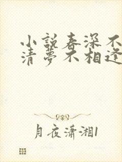 小说春深不归客清梦不相逢免费阅读