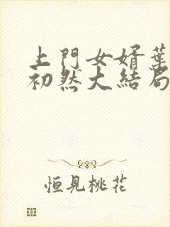 上门女婿叶辰萧初然大结局封面