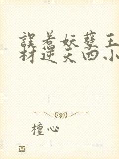 误惹妖孽王爷废材逆天四小姐 小说