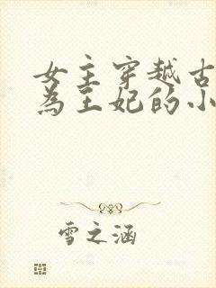 女主穿越古代成为王妃的小说
