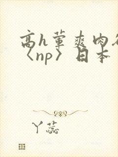 高h荤爽肉欲文〈np〉日本