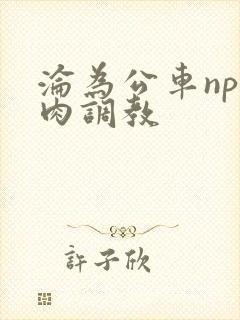 沦为公车np纯肉调教
