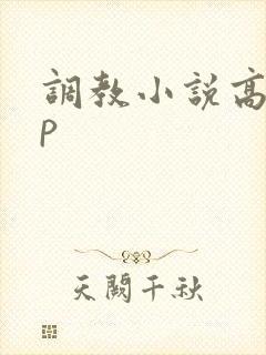 调教小说高hnp