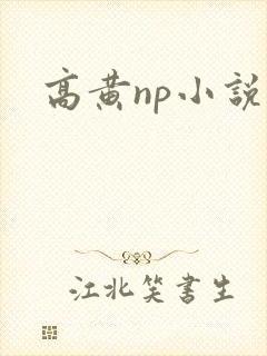 高黄np小说肉