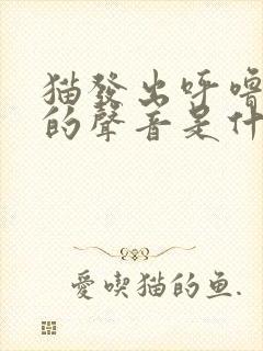 猫发出呼噜呼噜的声音是什么原因