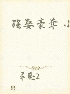 强娶豪夺 小说