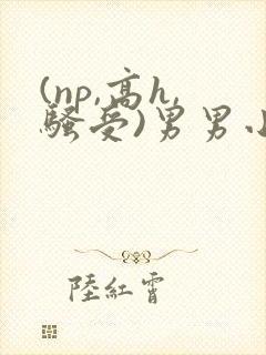 (np,高h,骚受)男男小说封面
