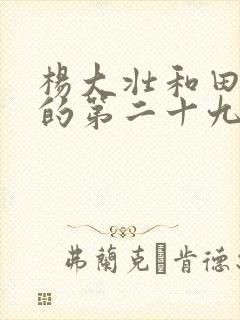 杨大壮和田桂花的第二十九