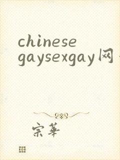 chinesegaysexgay网站