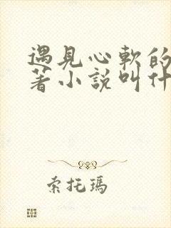 遇见心软的神原著小说叫什么名字