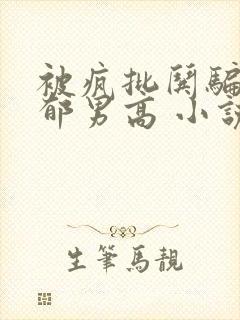 被疯批哄骗的阴郁男高 小说