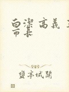 白洁 高义 王市长