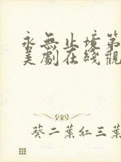 永无止境第一季美剧在线观看