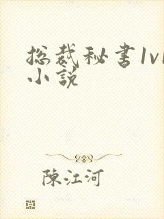 总裁秘书1v1小说