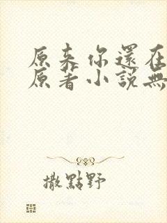 原来你还在这里原著小说无删减
