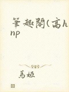 笔趣阁(高h)np