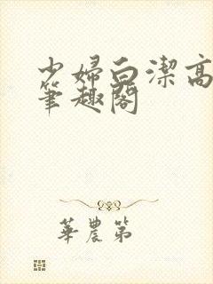 少妇白洁高义传笔趣阁封面