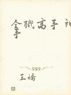 全职高手 神枪手