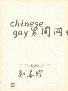 chinese gay男同网站