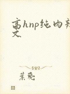 高hnp纯肉辣文